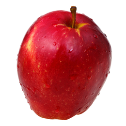 Polen Äpfel Gruppe von Obst- und Gemüseherstellern Polen 