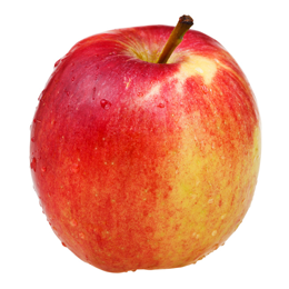 Polen Äpfel Gruppe von Obst- und Gemüseherstellern Polen 