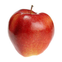 Polen Äpfel Gruppe von Obst- und Gemüseherstellern Polen 