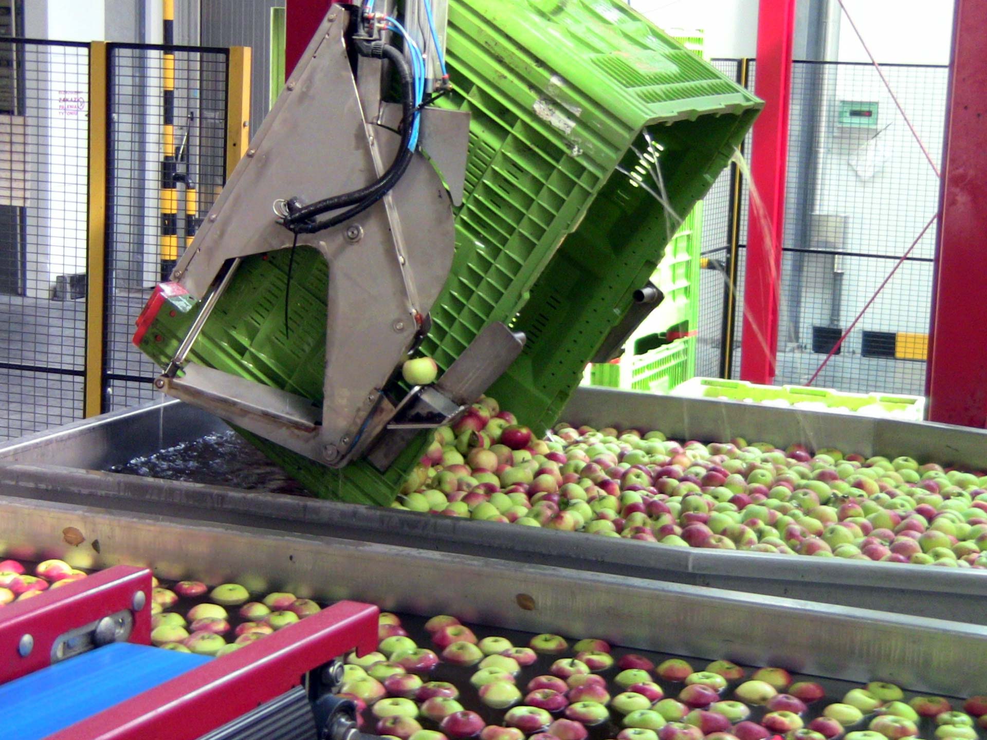 jabuke proizvođača voća i povrća Poljska