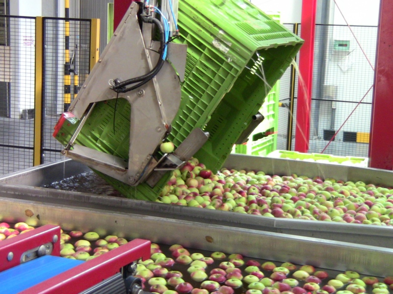 Polen Äpfel Gruppe von Obst- und Gemüseherstellern Polen 